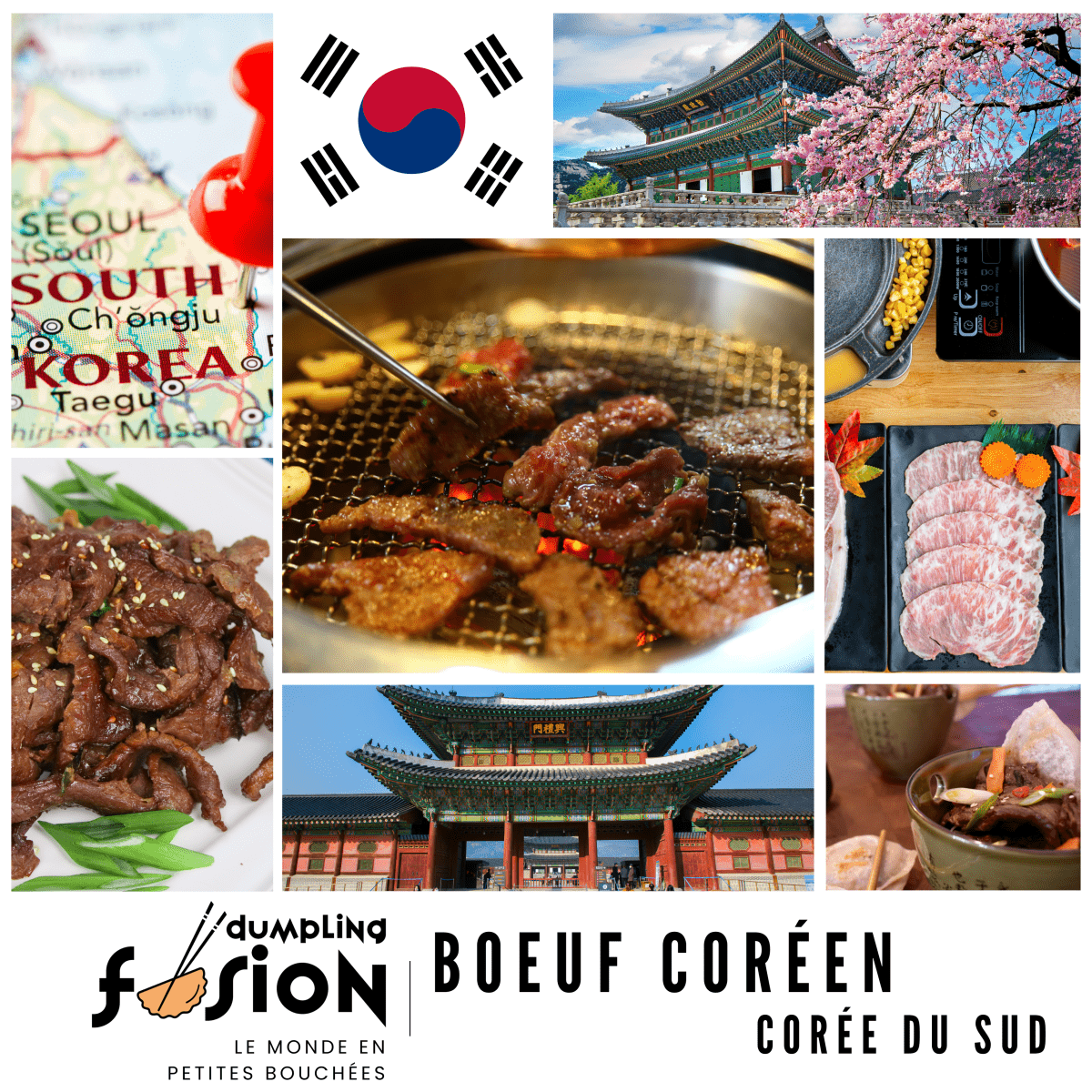 Dumpling Boeuf Coréen - Dumpling Fusion