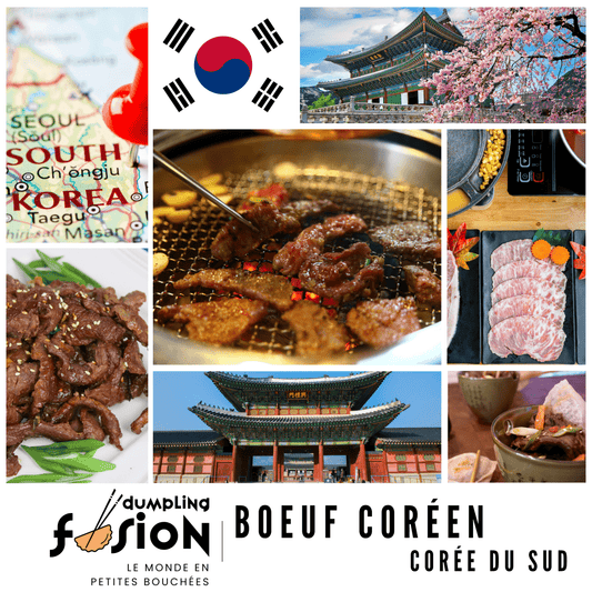 Dumpling Boeuf Coréen - Dumpling Fusion