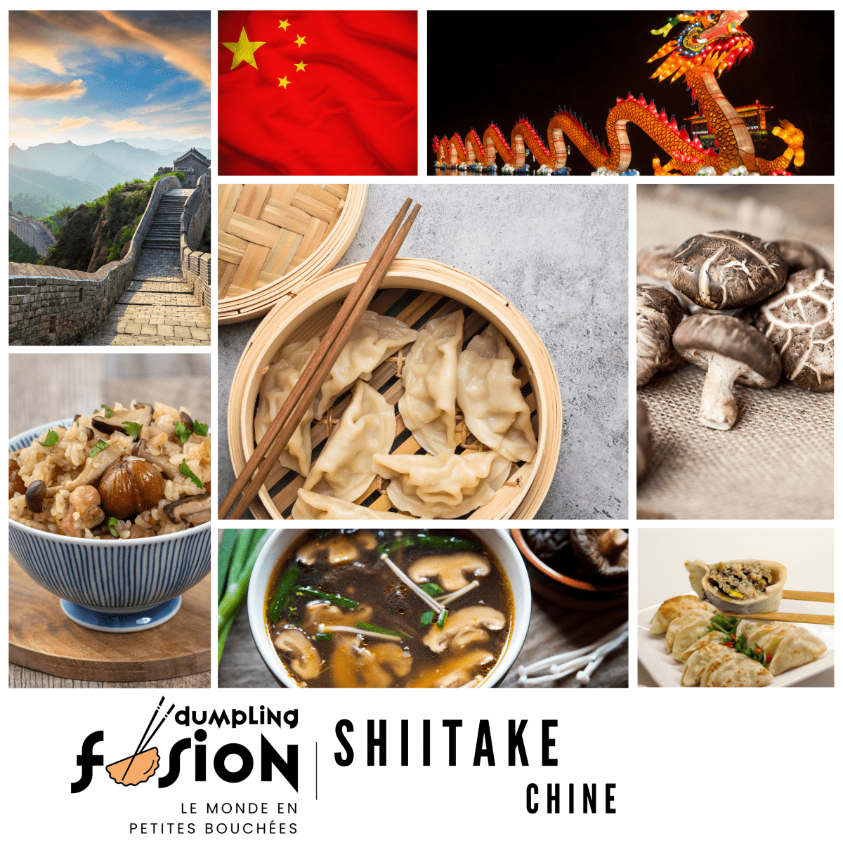 Dumpling Shiitake - Dumpling Fusion